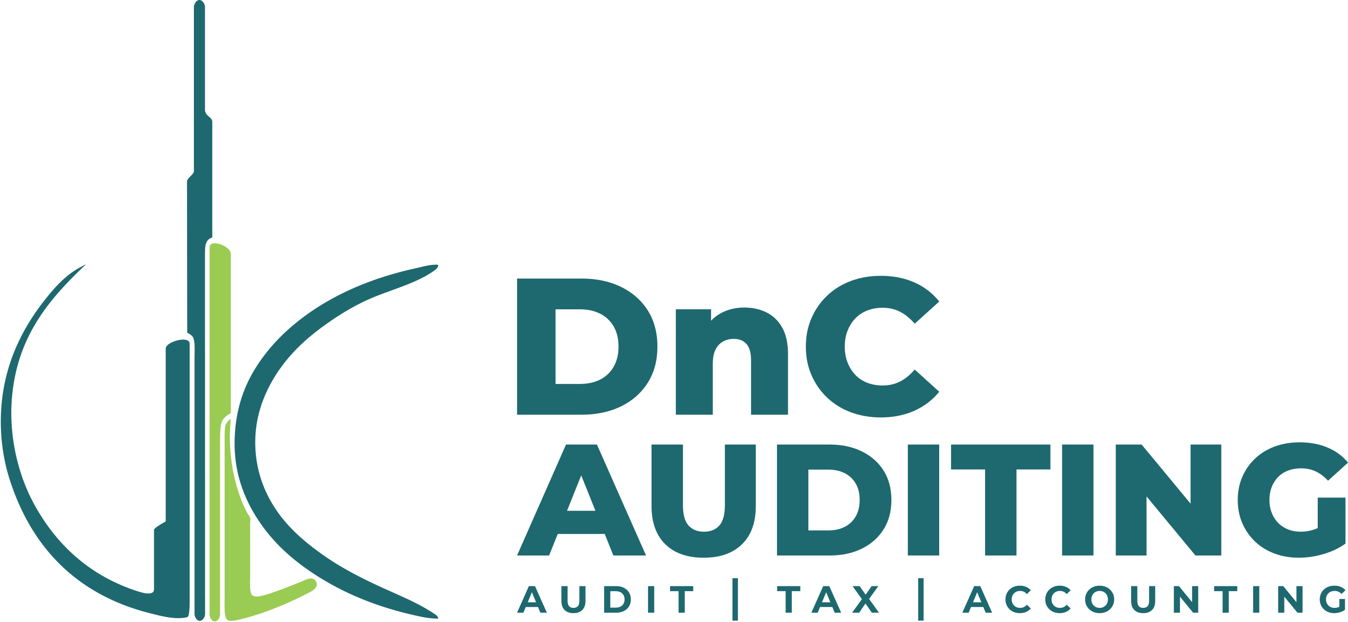DnC Auditing
